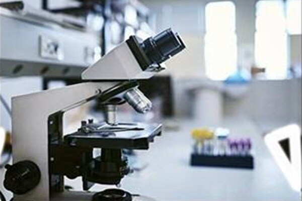 Microscope