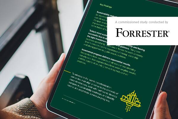 Download PDF